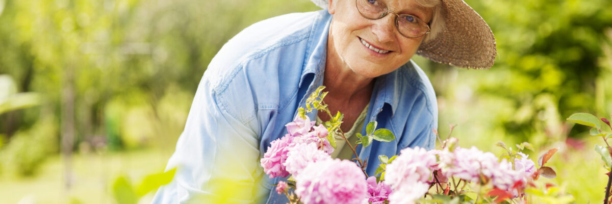 Top 5 Benefits of Gardening for Seniors