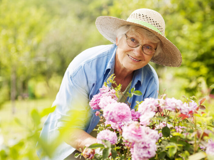 Top 5 Benefits of Gardening for Seniors