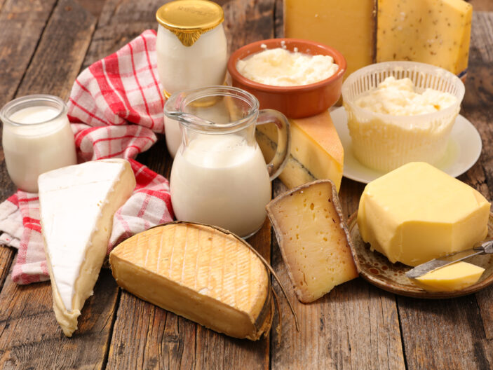 From cheese to yogurt: A guide to the world of dairy products