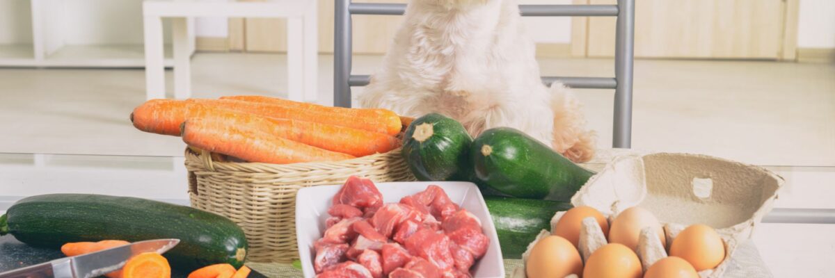 Petfood: how to cook so your pawed family can join the table